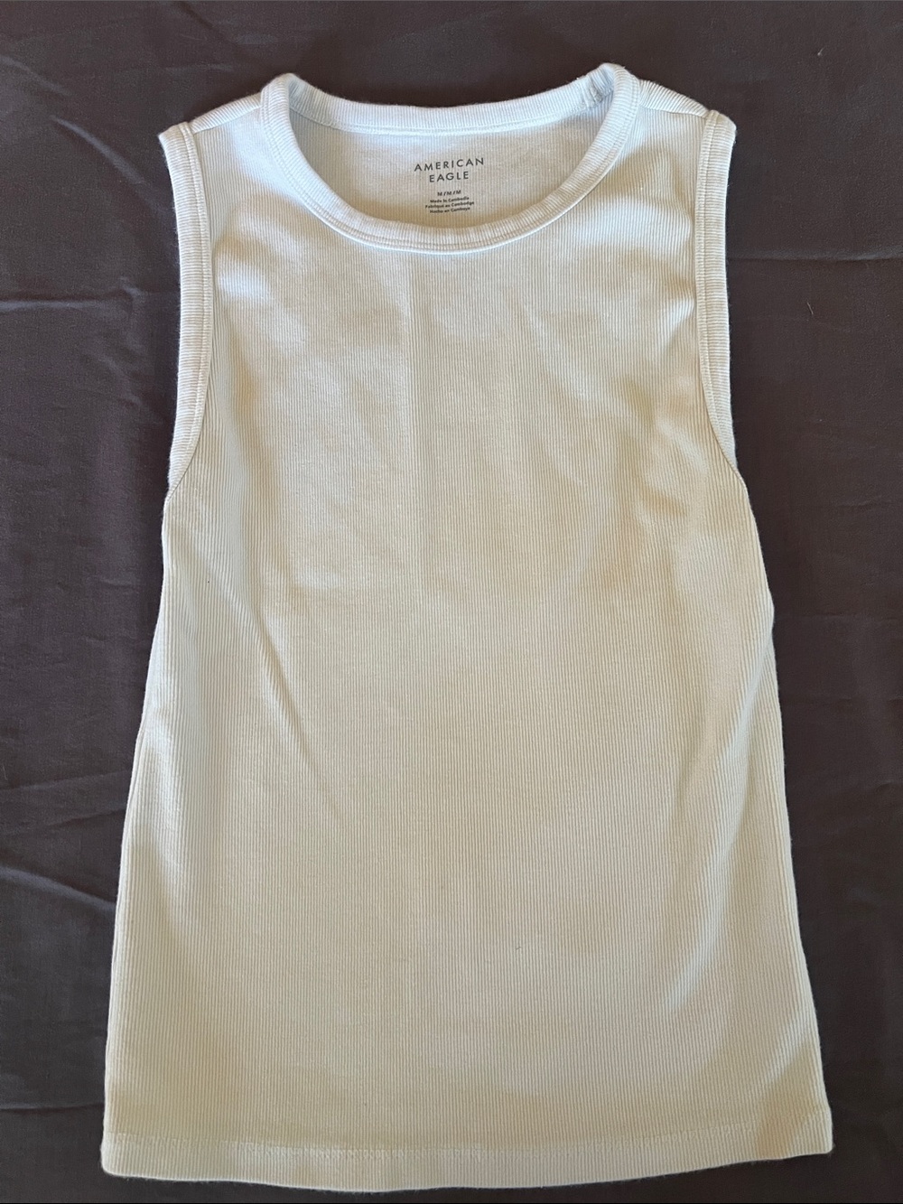 American Eagle Outfitters White Ribbed Crew Tank